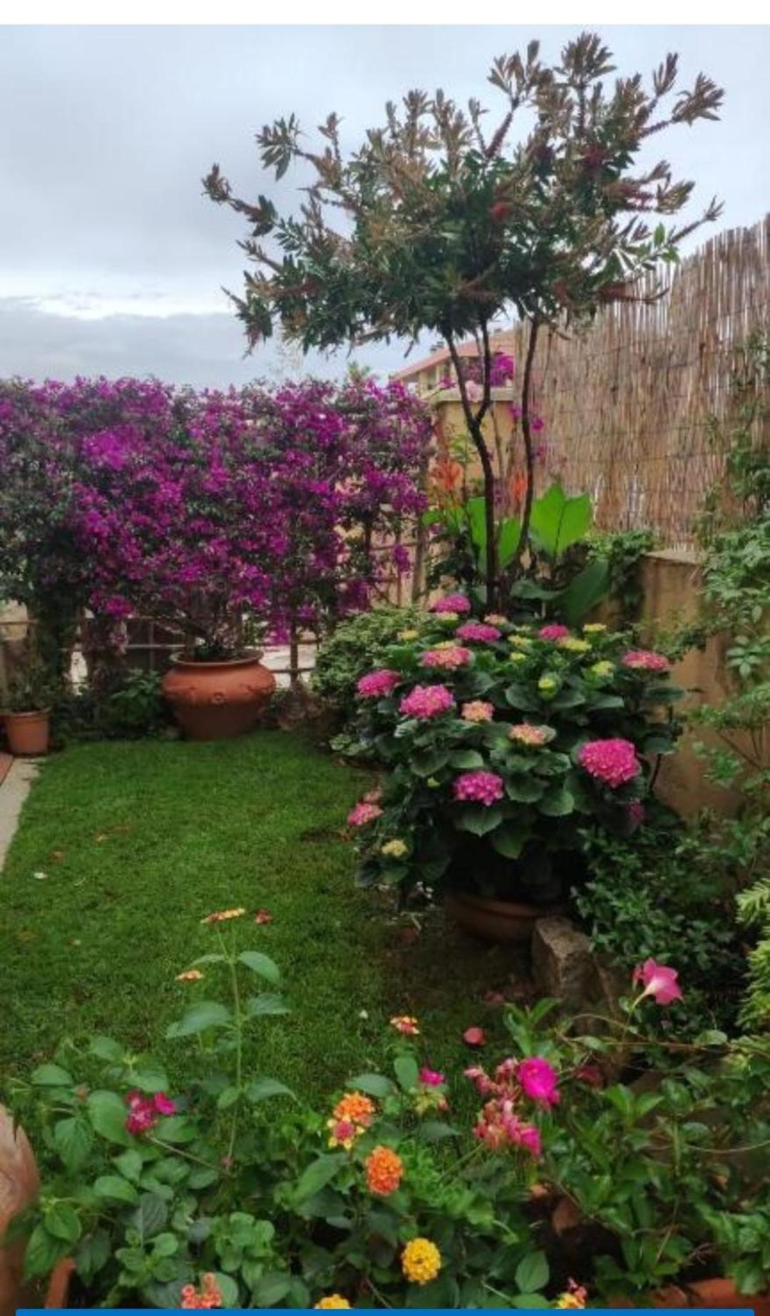 شقة La Casa Di Luca أولبيا المظهر الخارجي الصورة